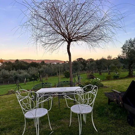 Casa Flammini Holiday home *